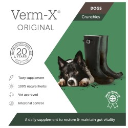 VERM-X CHIEN